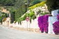 Wall of flowers photo