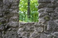 Wall and fort made of stone with window, tree with green foliage in the background.