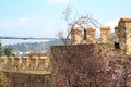 Wall of fortress Rumeli Hisari in Istanbul, Turkey. Cherry blossom in bloom. Fatih Sultan Bridge or Second Bosphorus Bridge. Royalty Free Stock Photo