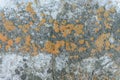 Wall fragment with attritions and cracks Royalty Free Stock Photo