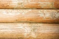 Wall of fresh logs with a woody texture Royalty Free Stock Photo