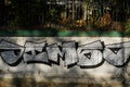 Wall graffiti in Bucharest  - Botanical Garden Royalty Free Stock Photo