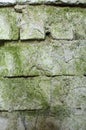 Wall of green moldy bricks background texture Royalty Free Stock Photo