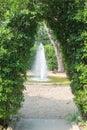 Wall of green tree and fountain Royalty Free Stock Photo