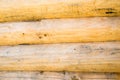 The wall of the handcrafted scribe fit log house Royalty Free Stock Photo