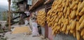 Wall with Hanging Corn for Drying in a Village, Guizhou, Rural China