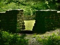 Wall of an historic celtic monument hidden in a forest Royalty Free Stock Photo