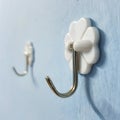 Wall hooks on the wall