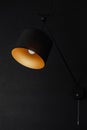 Wall lamp shines in impenetrable black close center vertical + light bulb, black photo