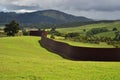 A wall in landscape, New Zealand art