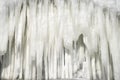 Wall of large icicles from storm in winter in sunny day, Bulgari