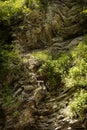 Wall of layered rocks with wavy curved crumpled pattern and bright green plants on slope in sunny summer day with sunbeams.