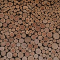 A wall-like stack of cut logs of varying diameters, tightly packed together. The ends of the logs Royalty Free Stock Photo