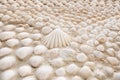 A wall lined and decorated with natural seashells