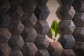 A wall lined with old black cracked tiles in the form of cells, in the middle of a green leaf