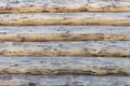 Wall of a log house. Fresh otosanye logs.