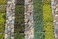 Stone and Greenery Wall Royalty Free Stock Photo