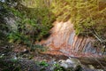 A wall made of exposed rock in the autumn forest of the Ukrainian Carpathians Royalty Free Stock Photo