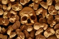 Skulls and bones in a wall Royalty Free Stock Photo