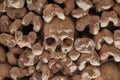Skulls and bones in a wall Royalty Free Stock Photo