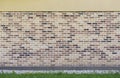 Wall from the made old brick with green grass and yellow flowers Royalty Free Stock Photo