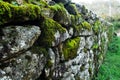 Wall made of rock covered with green moss.