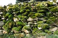 Wall made of rock covered with green moss.