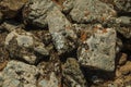 Wall made of stones with moss and lichens at Evoramonte Royalty Free Stock Photo