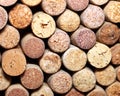 Wall of many different wine corks. Closeup of wine corks. Close up of cork wine. Royalty Free Stock Photo