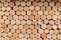 A wall of many felled tree trunks lying on top of each other