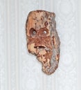 Wall mask from bark of tree