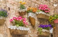 Wall in the medieval center of Spello with pots of flowers