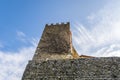 The wall of the medieval tower Torre Della Campanaria overgrown with dry branches crawling on it, in Montecatini Alto, Italy