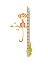 Wall meter with little monkey. Sticker for measuring height kids. Funny vector cartoon illustration for children Royalty Free Stock Photo