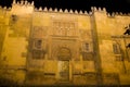 Wall of Mezquita. Cordoba, Spain.