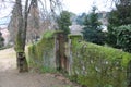 Wall with moss in portugal Royalty Free Stock Photo