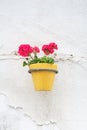 Wall mounted flower pot. Royalty Free Stock Photo