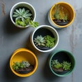 Round Wall Planters with Succulents and Greenery Royalty Free Stock Photo
