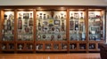 A wall-mounted trophy case featuring numerous accolades, statuettes, and plaques