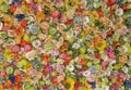 Wall of multicolored flowers with rose tulipan margaritas