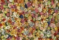 Wall of multicolored flowers with rose tulipan margaritas