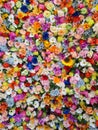 Wall of multicolored flowers with rose tulipan margaritas