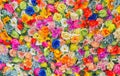 Wall of multicolored flowers with rose tulipan margaritas