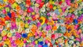 Wall of multicolored flowers with rose tulipan margaritas