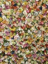 Wall of multicolored flowers with rose tulipan margaritas