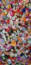 Wall of multicolored flowers with rose tulipan margaritas