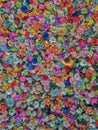 Wall of multicolored flowers with rose tulipan margaritas