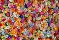 Wall of multicolored flowers with rose tulipan margaritas