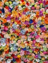 Wall of multicolored flowers with rose tulipan margaritas