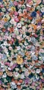 Wall of multicolored flowers with rose tulipan margaritas